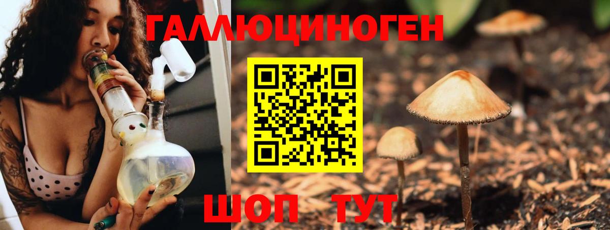 Среднеуральск  Галлюциногенные грибы Psilocybine cubensis  Вход с VPN 